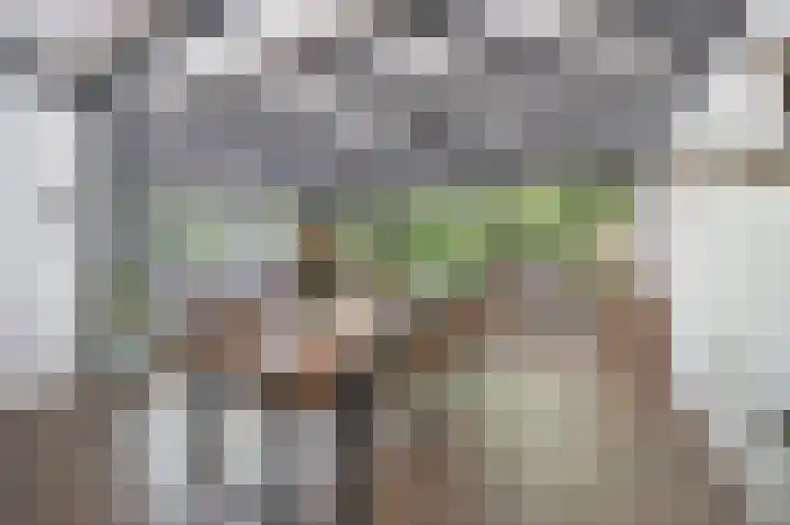 Moutberg 17 Sprundel thumbnail 9