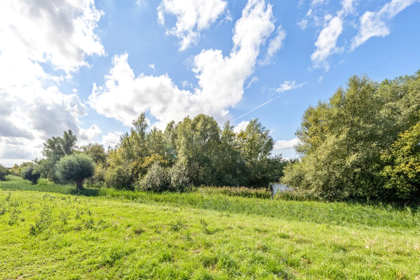Moutberg 4 Roosendaal thumbnail 68