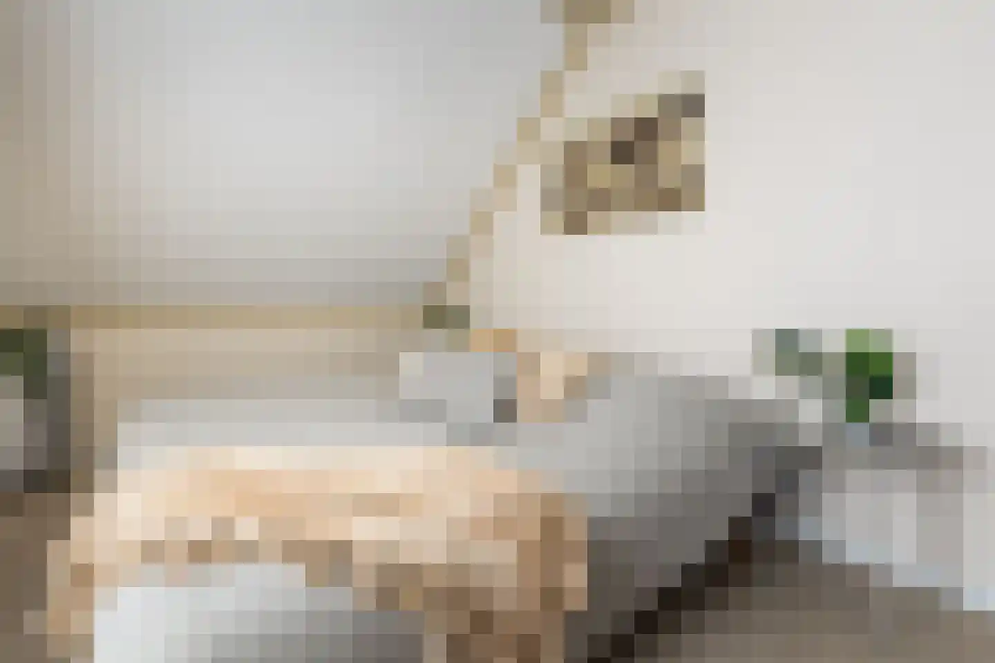 Mouterij 13 Berlicum thumbnail 30