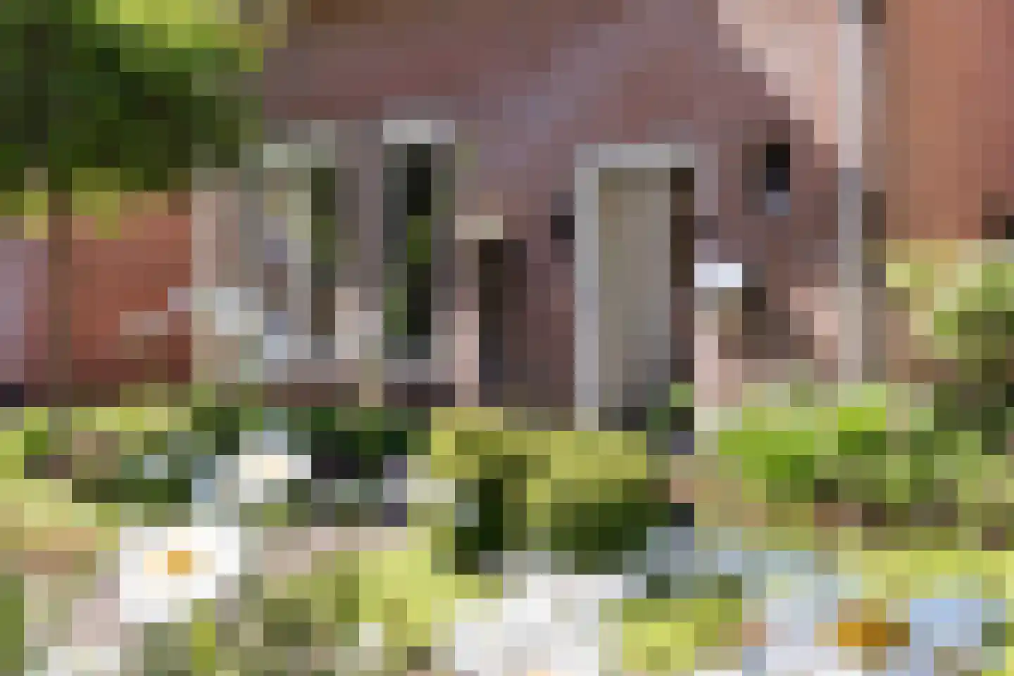 Mouterij 13 Berlicum thumbnail 44