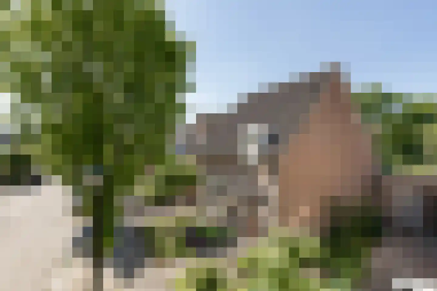 Mouterij 13 Berlicum thumbnail 52