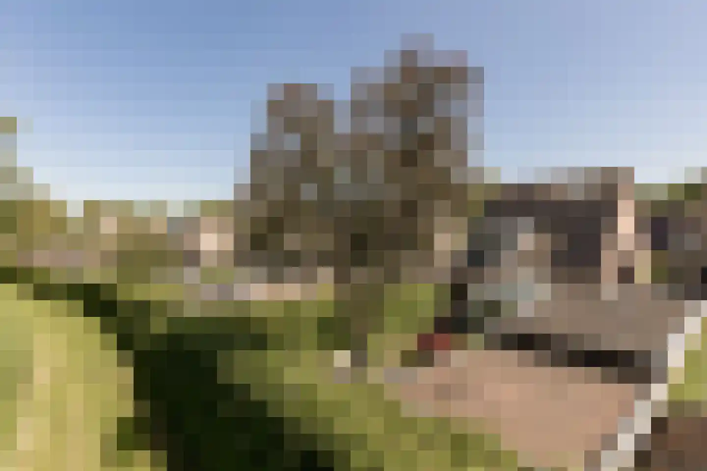Mouterij 13 Berlicum thumbnail 54