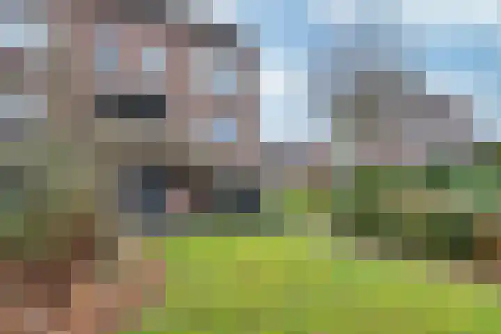 Mouterij 14 Gorredijk thumbnail 32