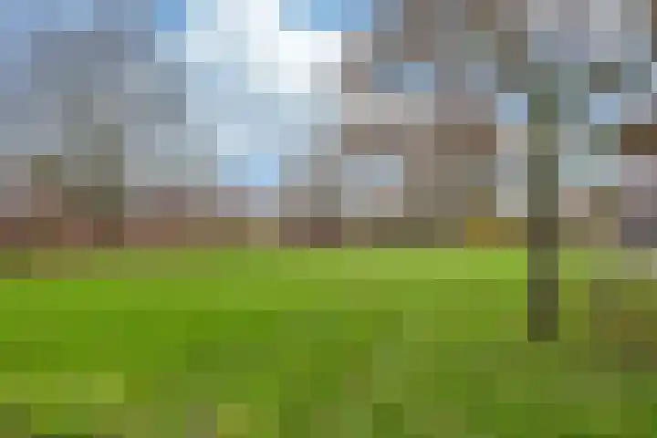 Mouterij 14 Gorredijk thumbnail 33