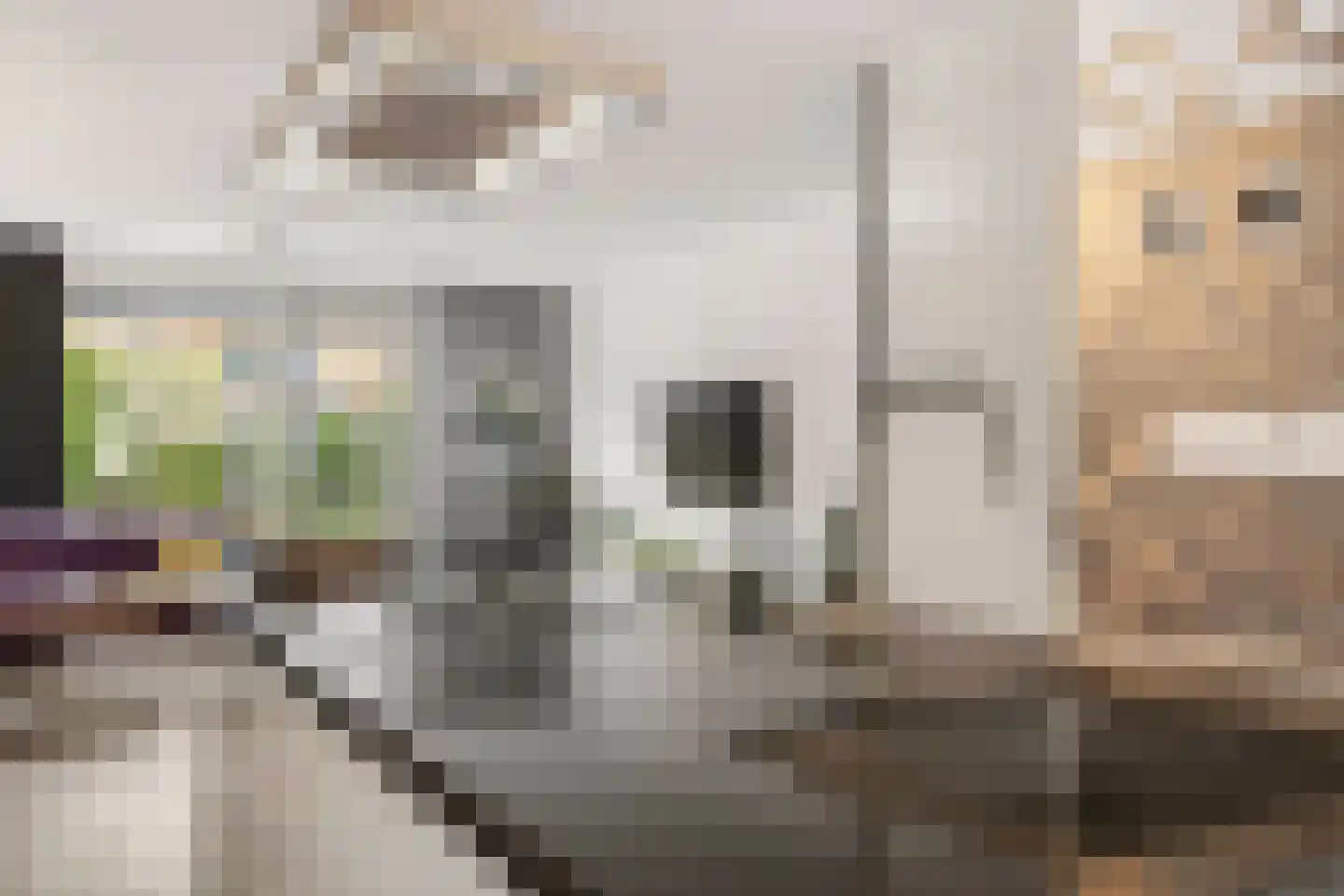 Mouterij 15 Wageningen thumbnail 10