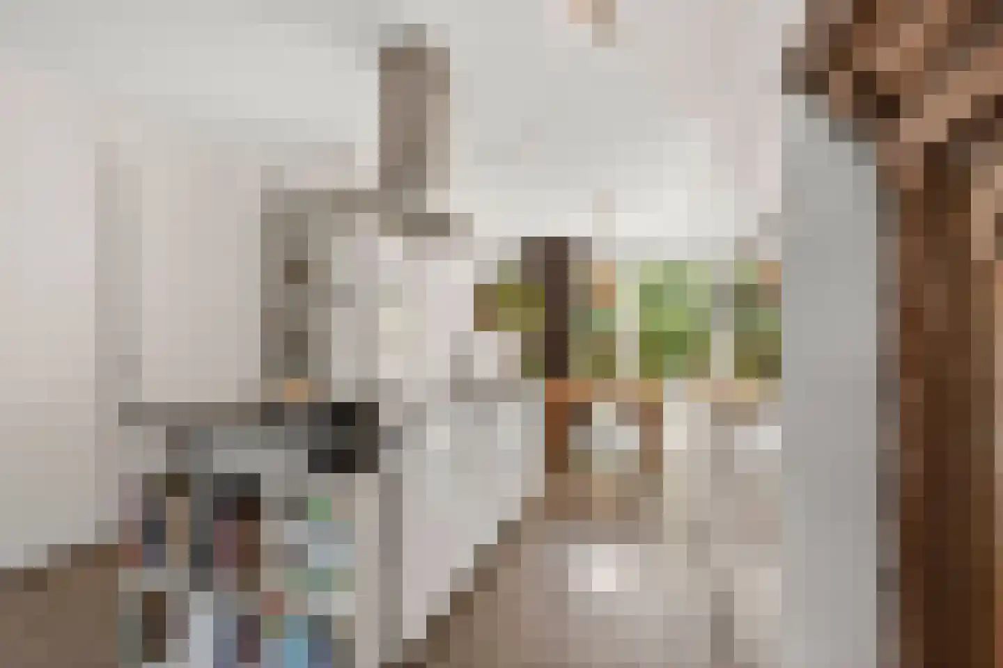 Mouterij 15 Wageningen thumbnail 8