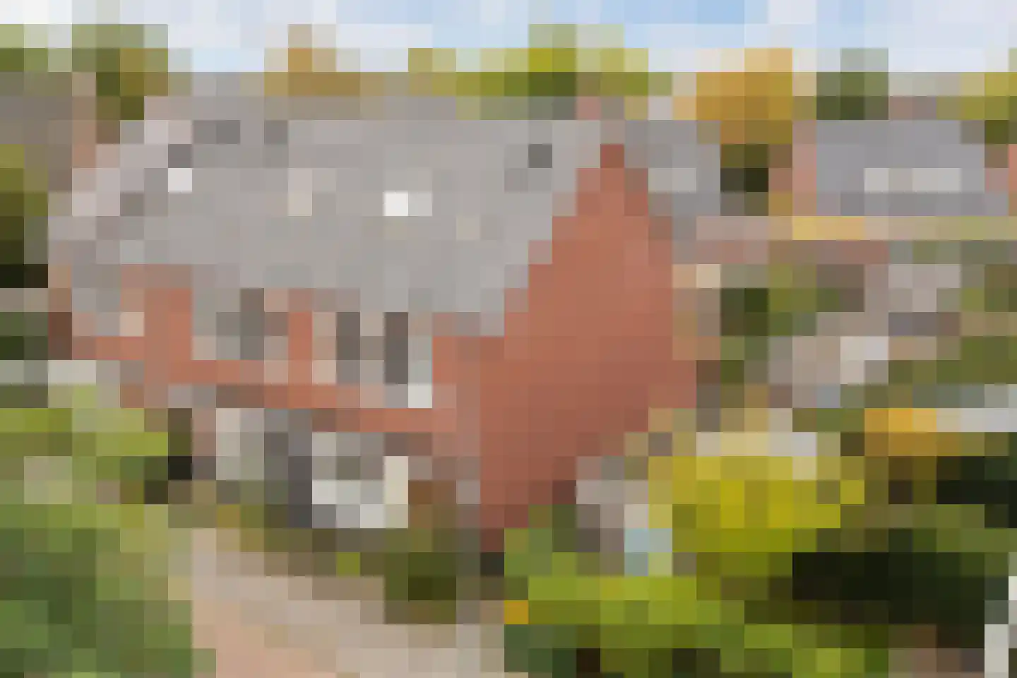 Mouterij 16 Wageningen thumbnail 27