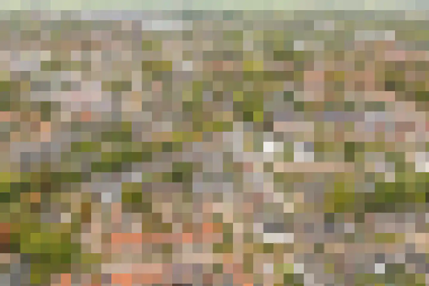 Mouterij 16 Wageningen thumbnail 28