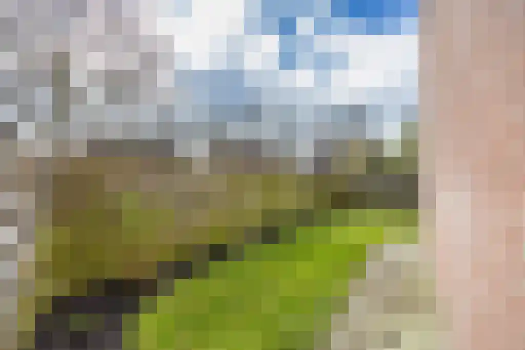 Mouterij 18 Gorredijk thumbnail 27