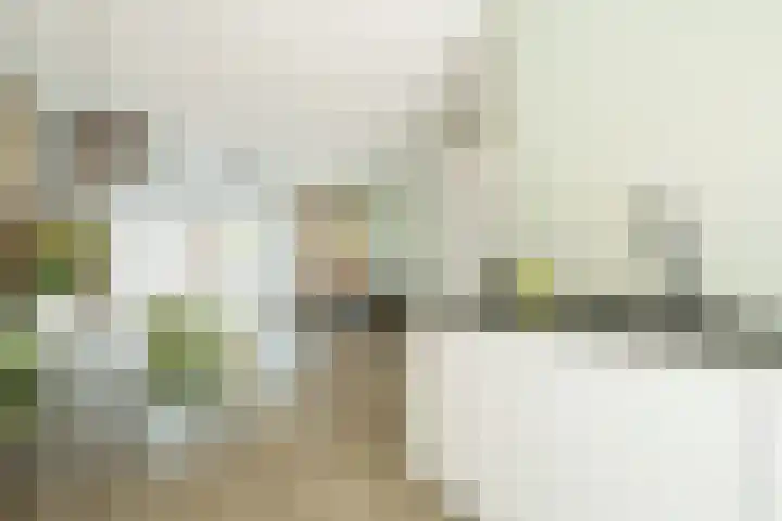 Mouterij 19 Wageningen thumbnail 11