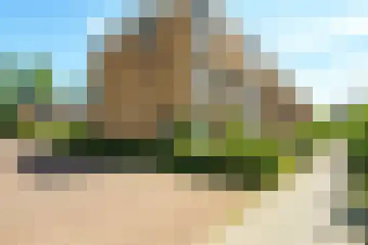 Mouterij 19 Wageningen thumbnail 26