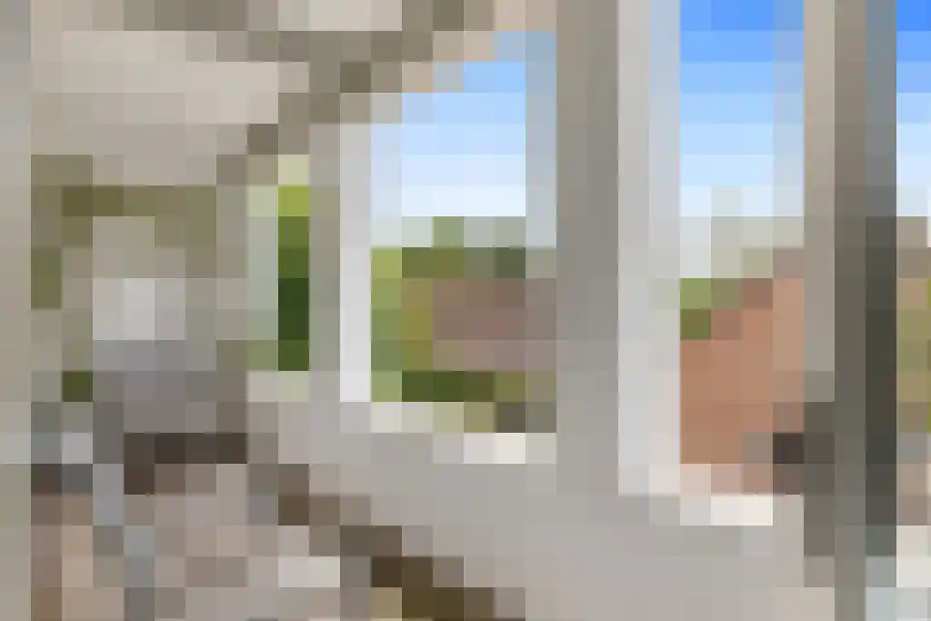 Mouterij 25 Gorredijk thumbnail 17