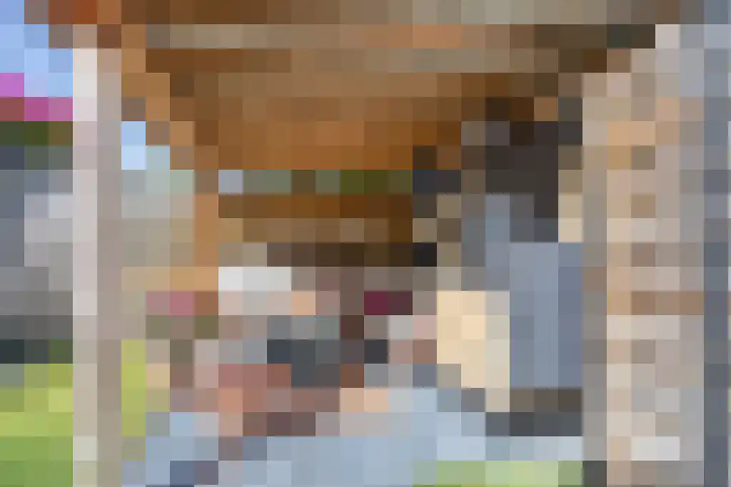 Mouterij 31 Gorredijk thumbnail 28