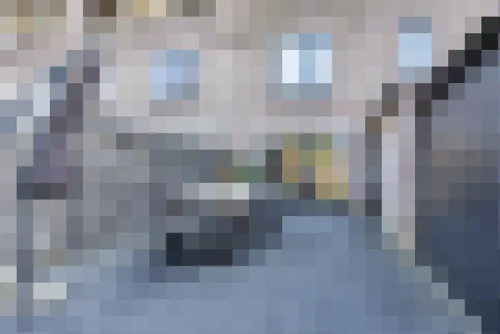 Mouterij 31 Gorredijk thumbnail 29