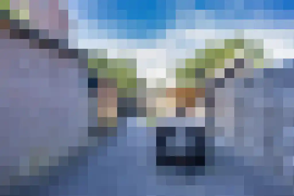 Mouterij 31 Gorredijk thumbnail 30