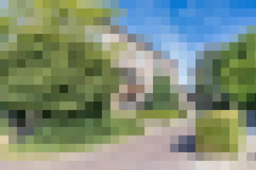 Mouterij 31 Gorredijk thumbnail 35