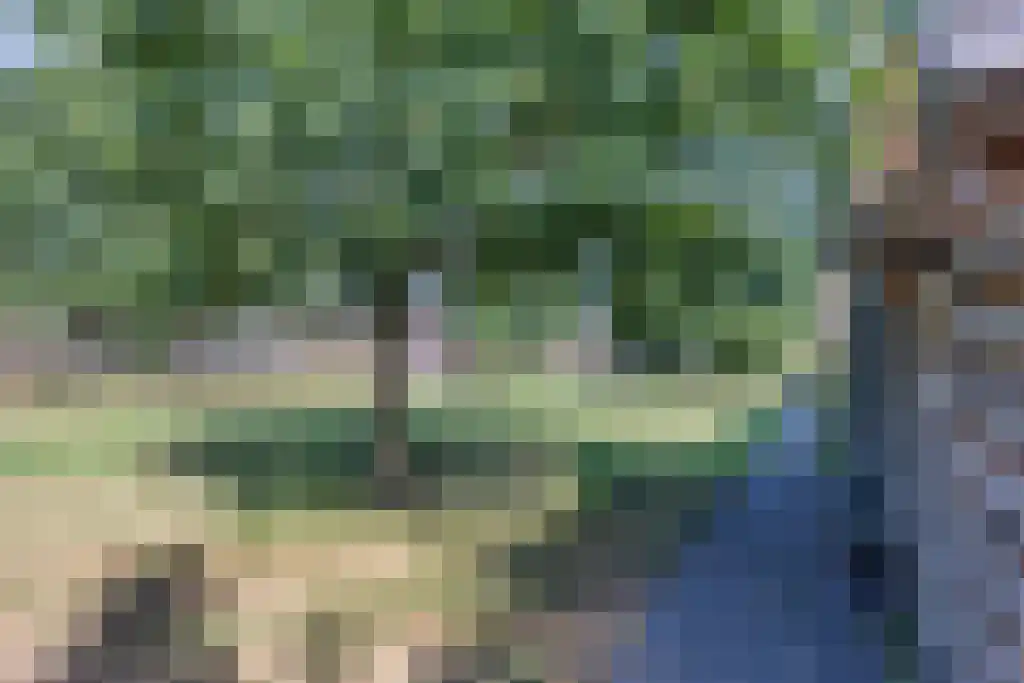 Mouterij 31 Gorredijk thumbnail 36