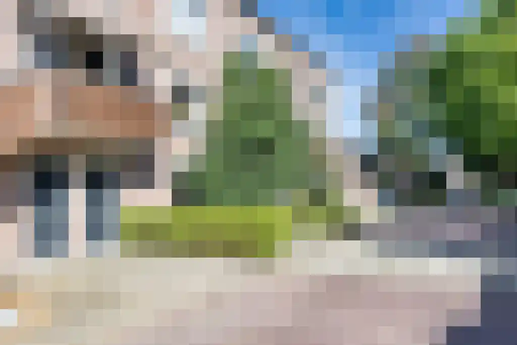 Mouterij 31 Gorredijk thumbnail 37