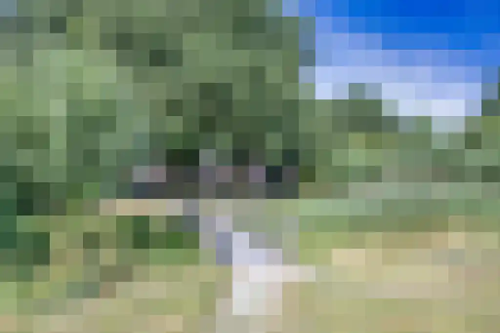 Mouterij 31 Gorredijk thumbnail 39