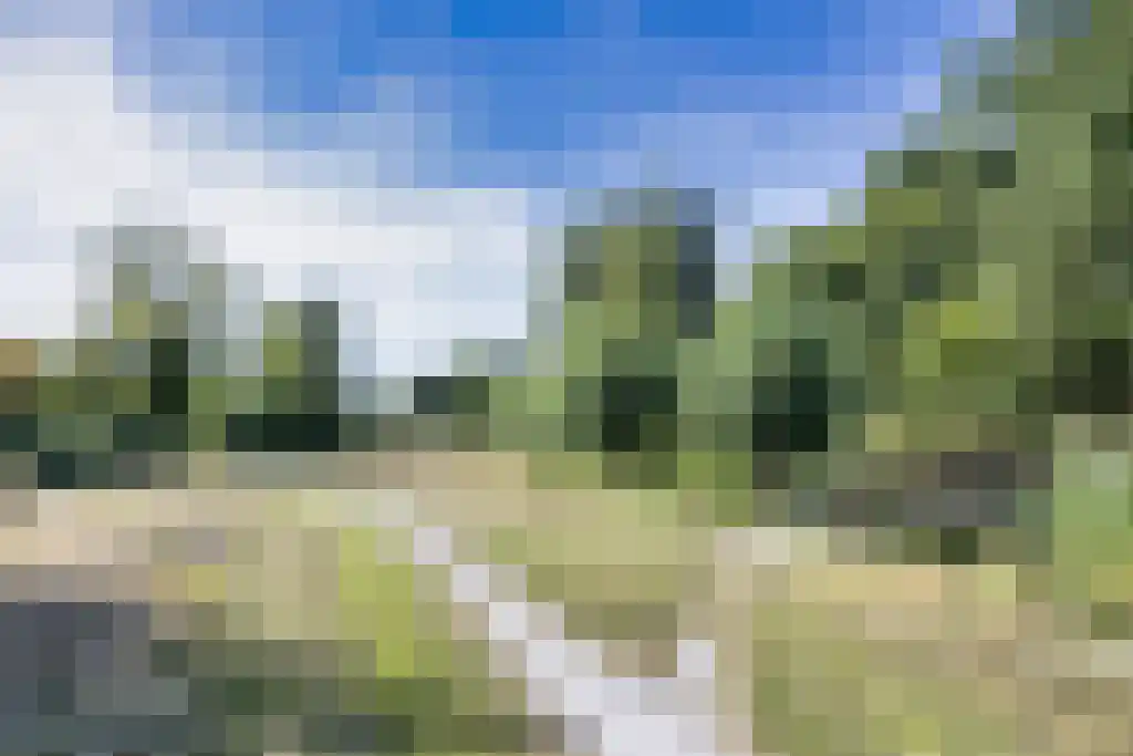 Mouterij 31 Gorredijk thumbnail 40