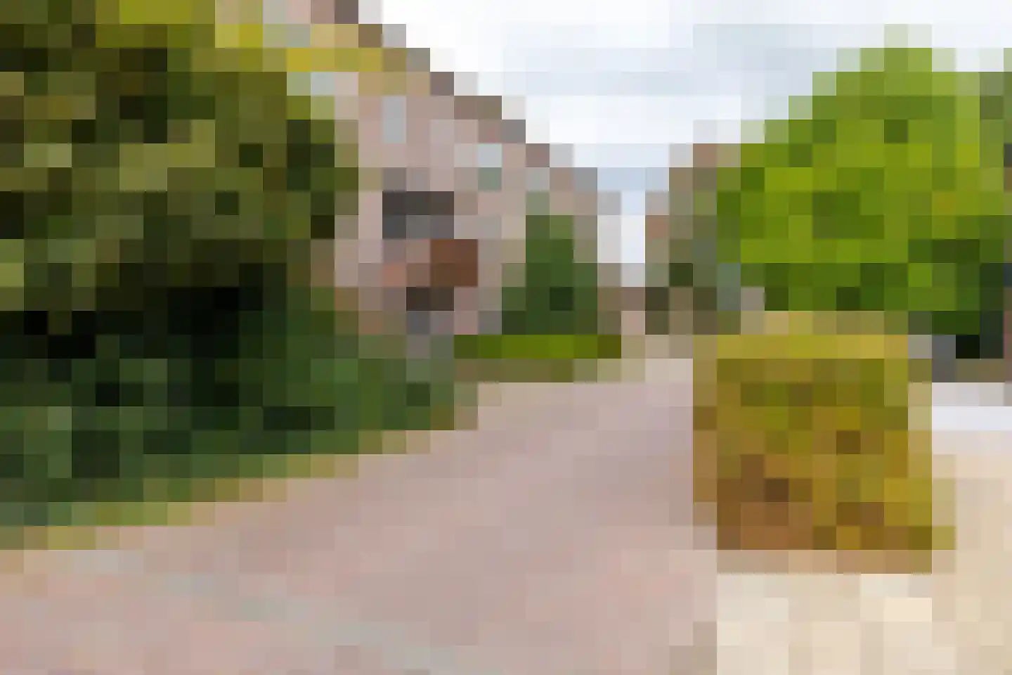 Mouterij 33 Gorredijk thumbnail 11