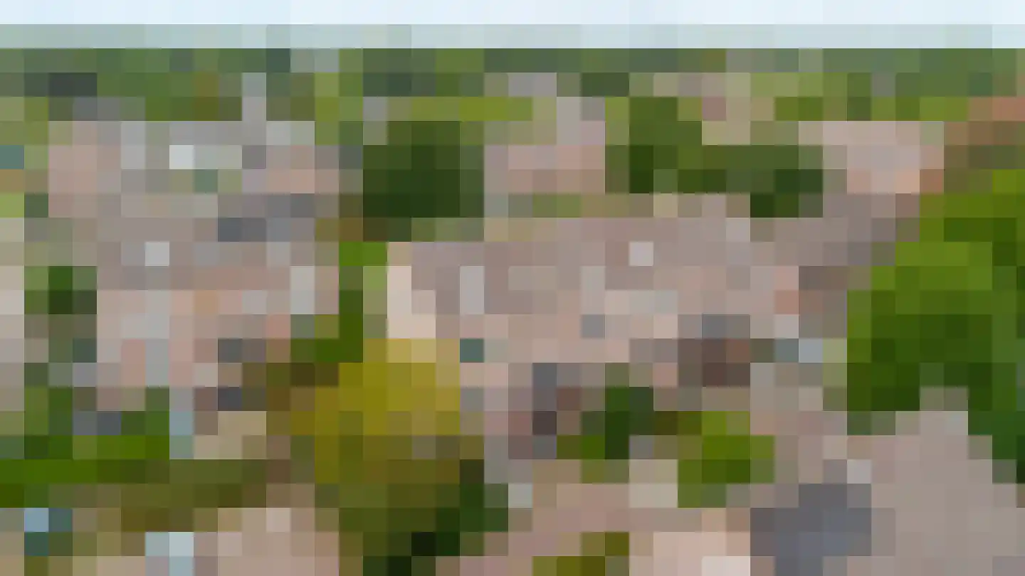 Mouterij 33 Gorredijk thumbnail 13