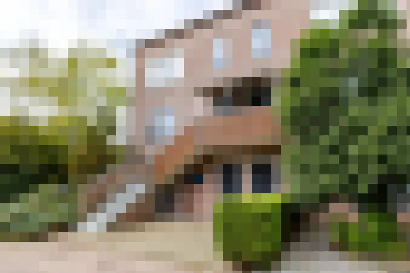 Mouterij 33 Gorredijk thumbnail 14