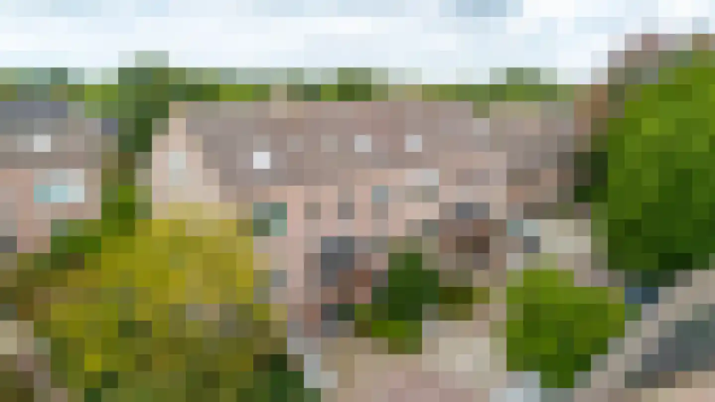 Mouterij 33 Gorredijk thumbnail 9