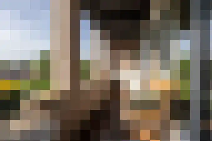 Mouterij 37 Gorredijk thumbnail 20
