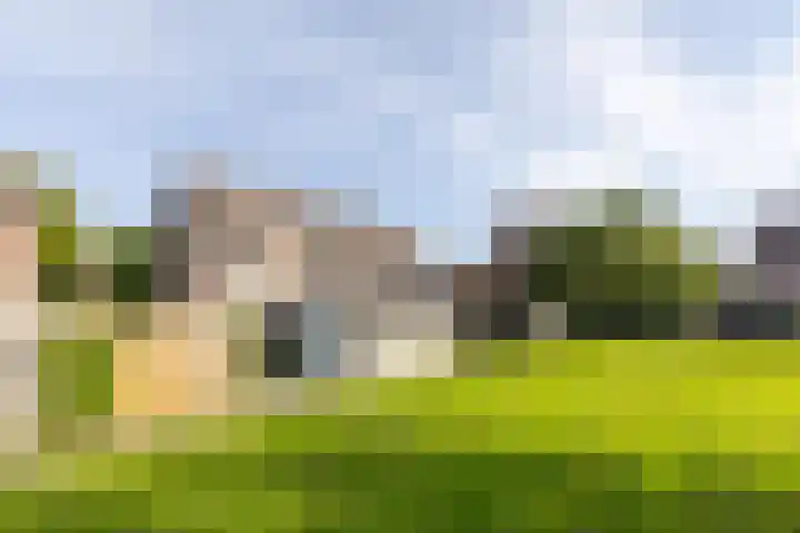 Mouterij 37 Gorredijk thumbnail 34