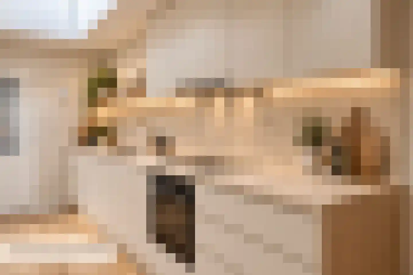 Mouterij 6 Alkmaar thumbnail 12