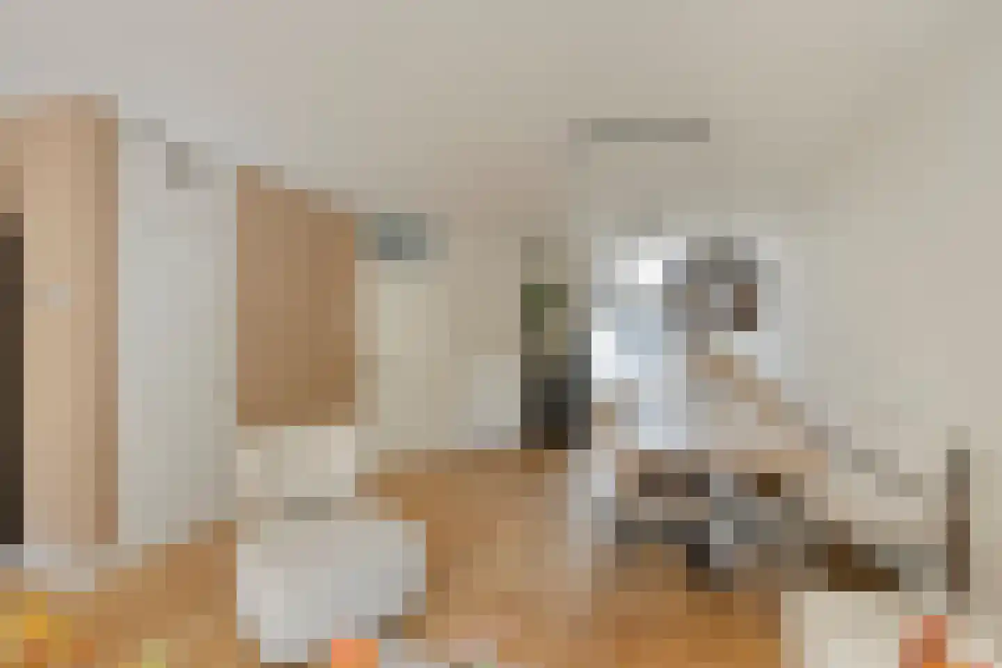 Mouterij 6 Alkmaar thumbnail 15