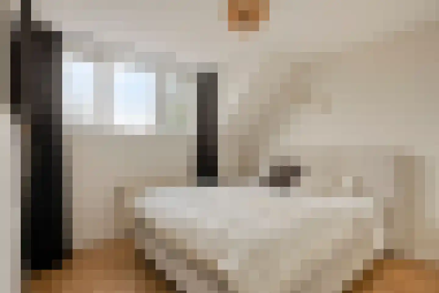 Mouterij 6 Alkmaar thumbnail 22