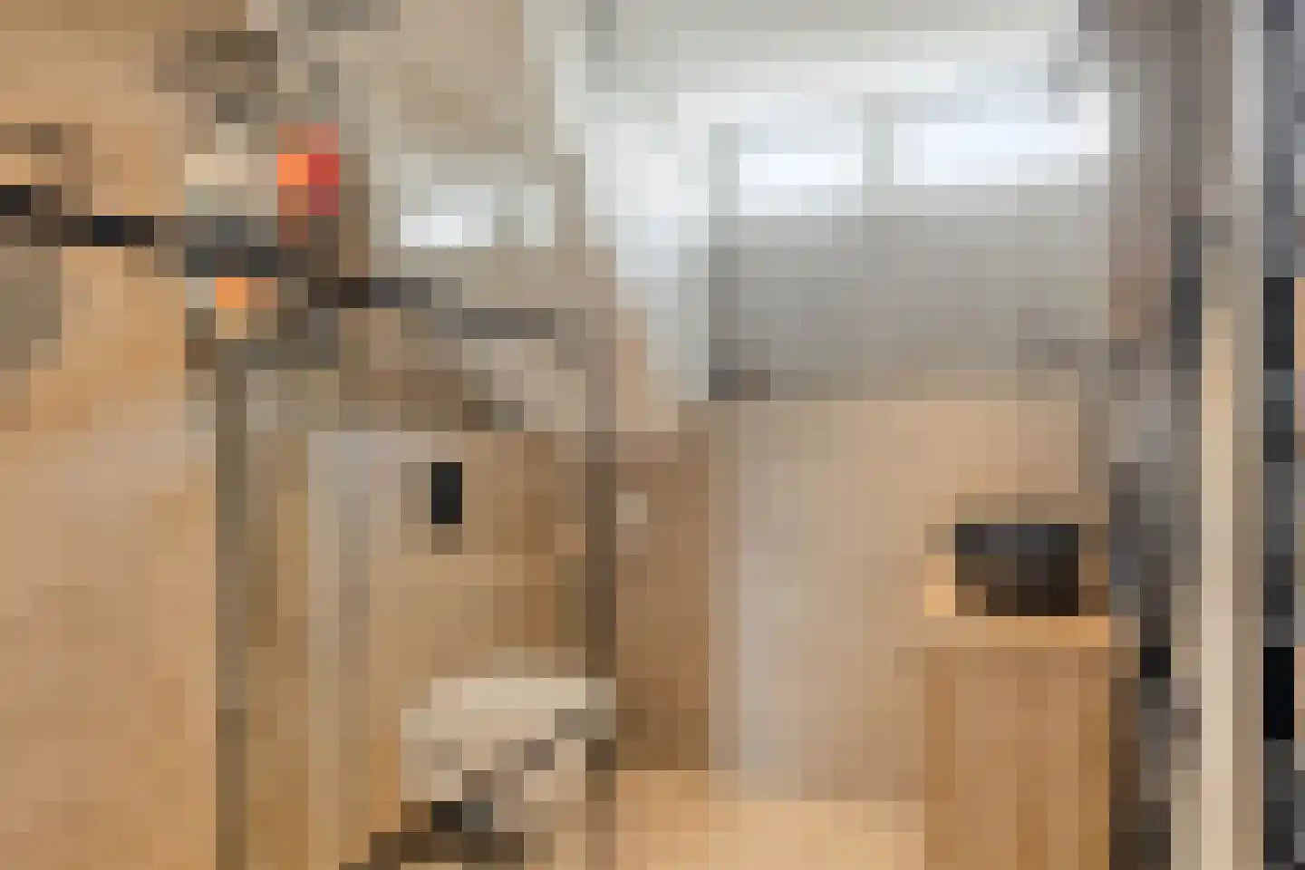 Mouterij 6 Alkmaar thumbnail 24
