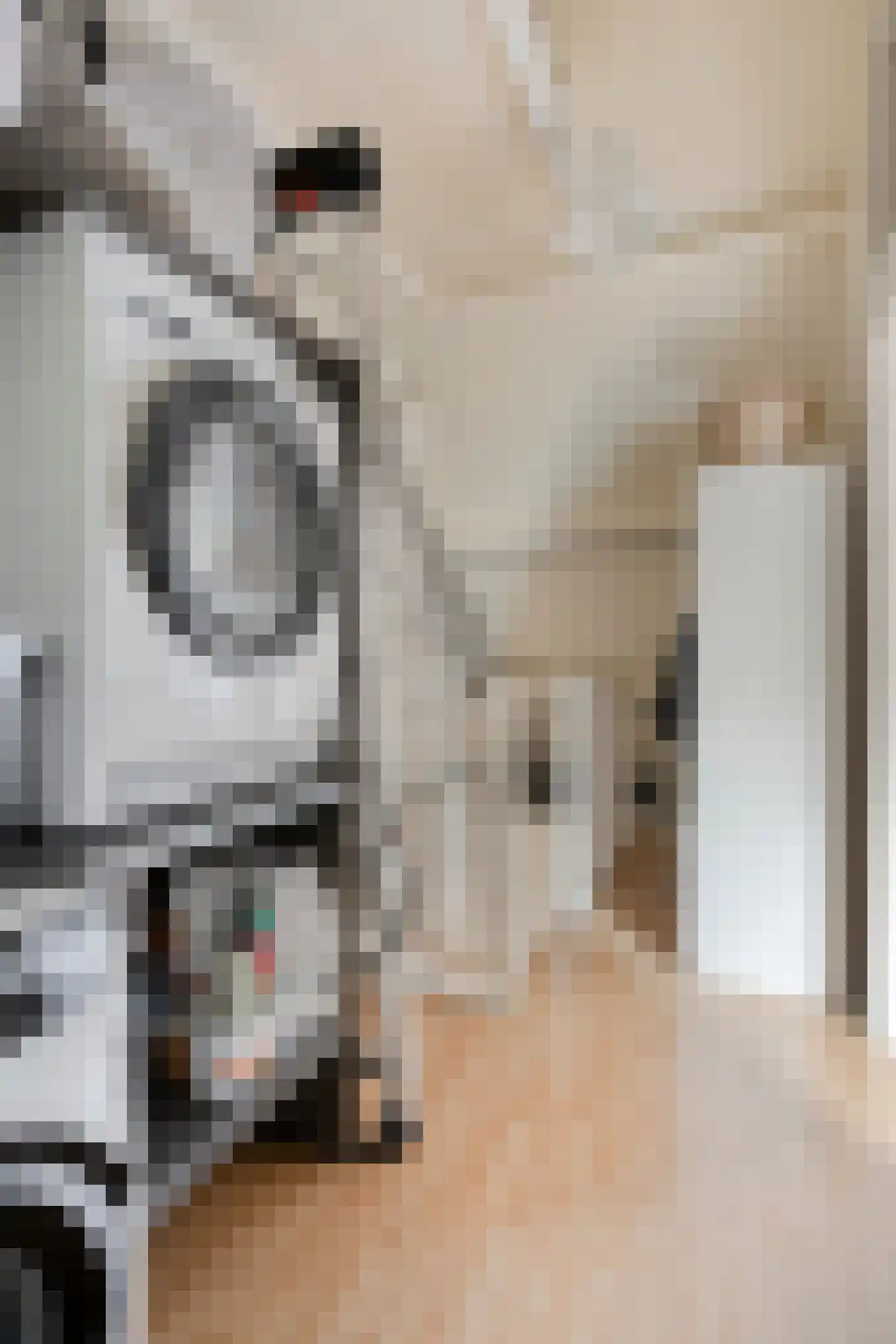 Mouterij 6 Alkmaar thumbnail 32