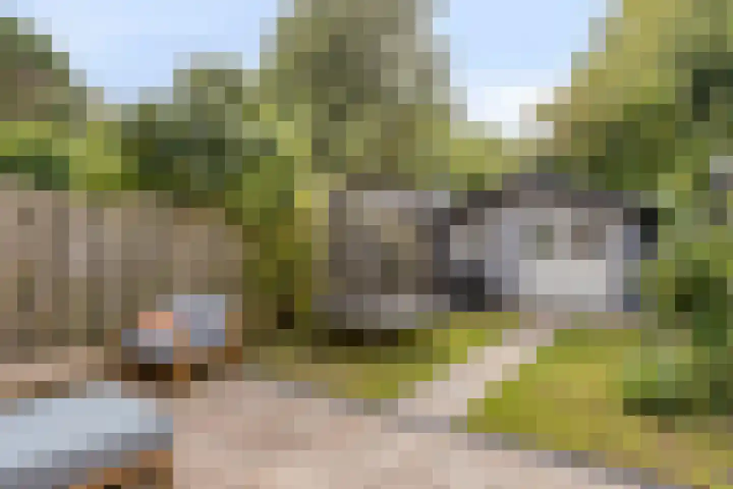 Mouterij 6 Alkmaar thumbnail 33