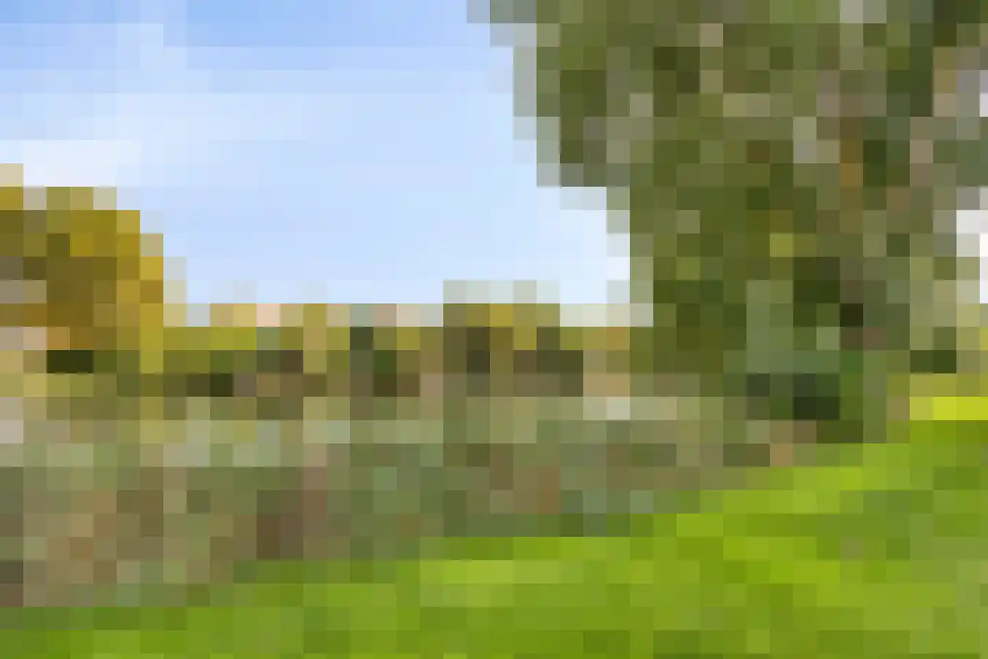 Mouterij 6 Alkmaar thumbnail 36