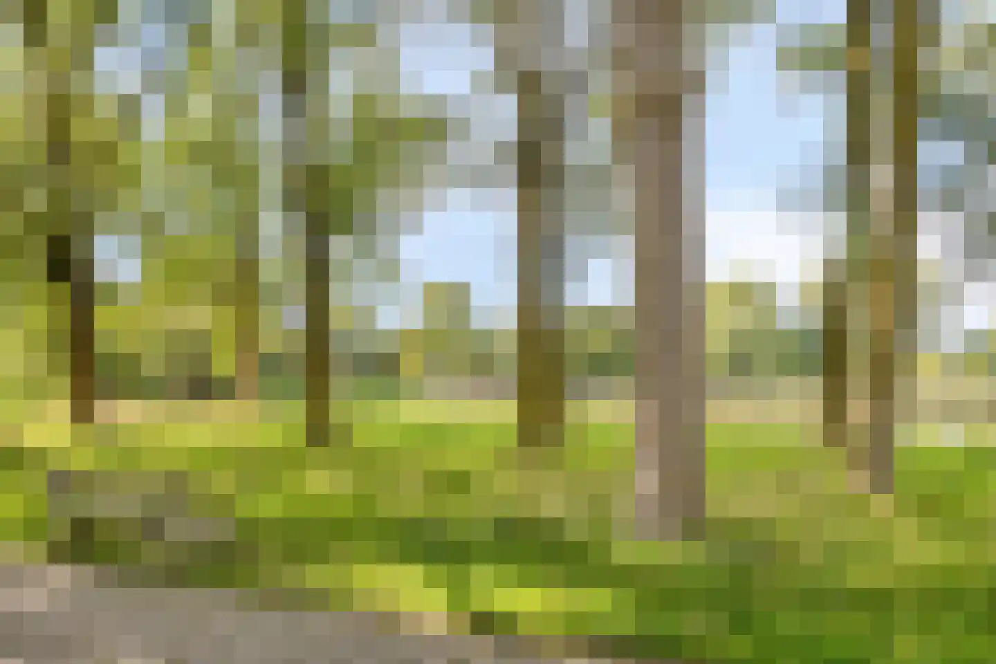 Mouterij 6 Alkmaar thumbnail 37