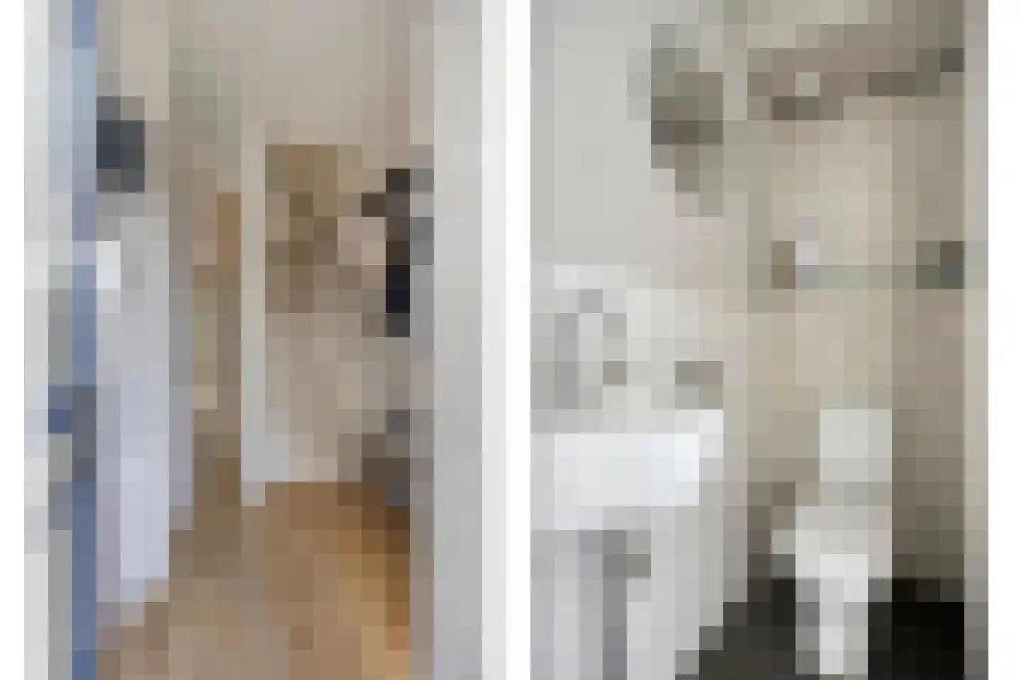 Mouterij 6 Alkmaar thumbnail 5