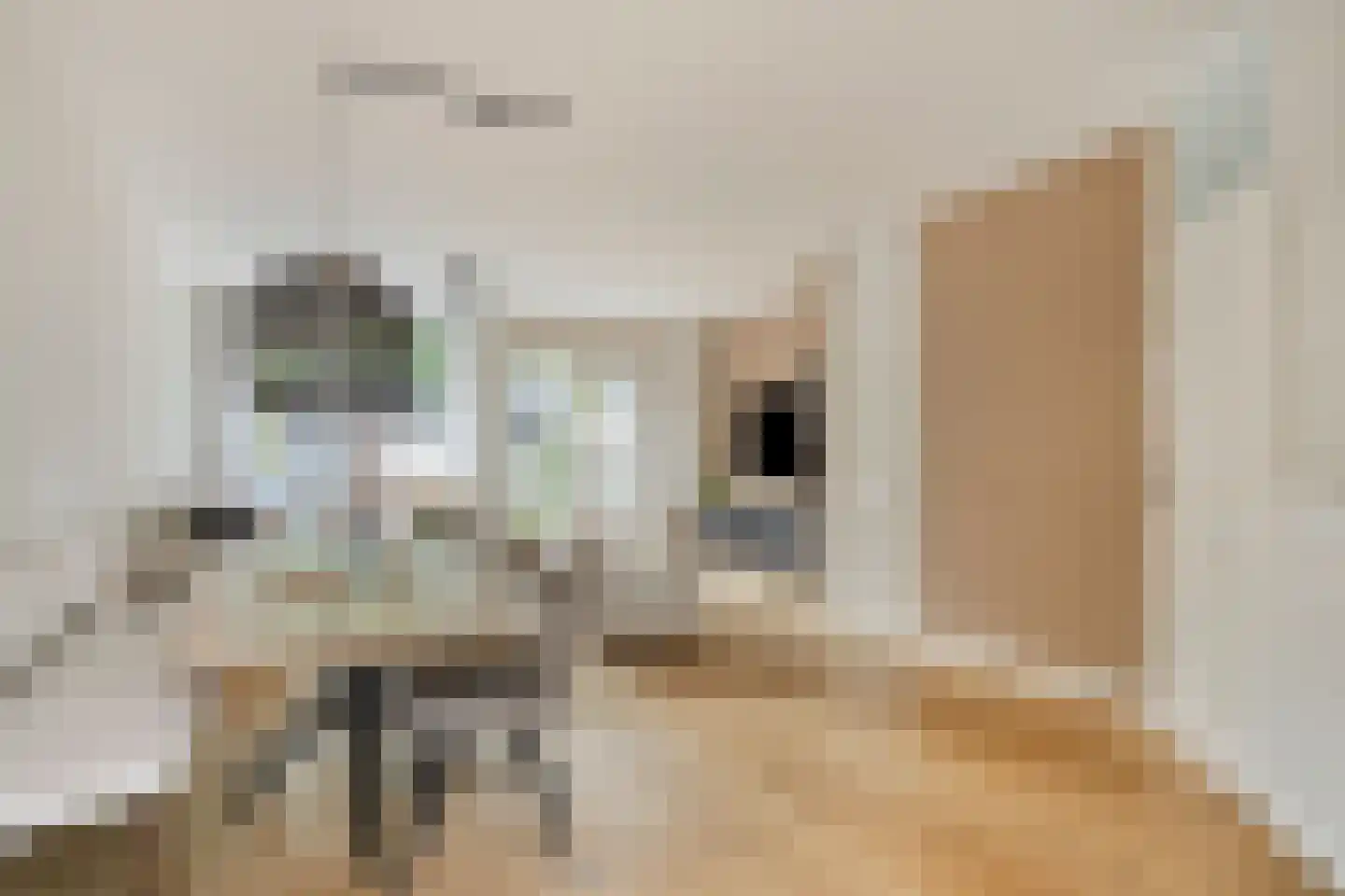 Mouterij 6 Alkmaar thumbnail 9