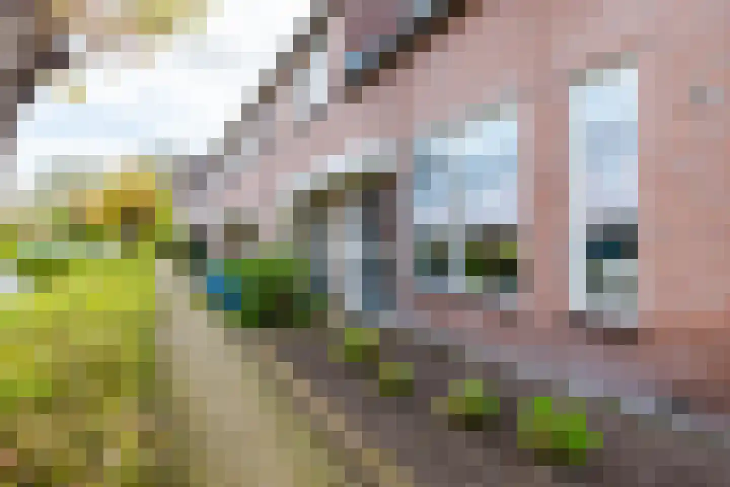 Mouterij 71 Gorredijk thumbnail 12