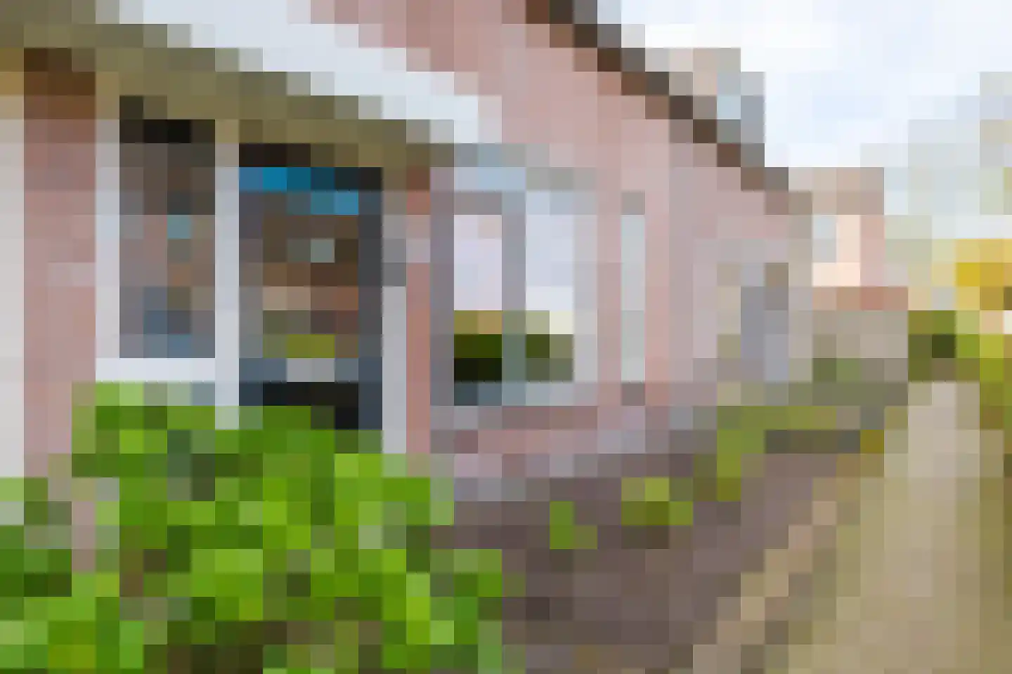 Mouterij 71 Gorredijk thumbnail 13