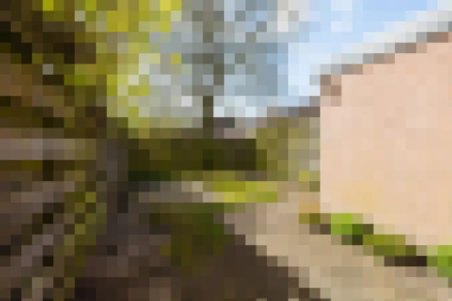 Mouterij 71 Gorredijk thumbnail 14