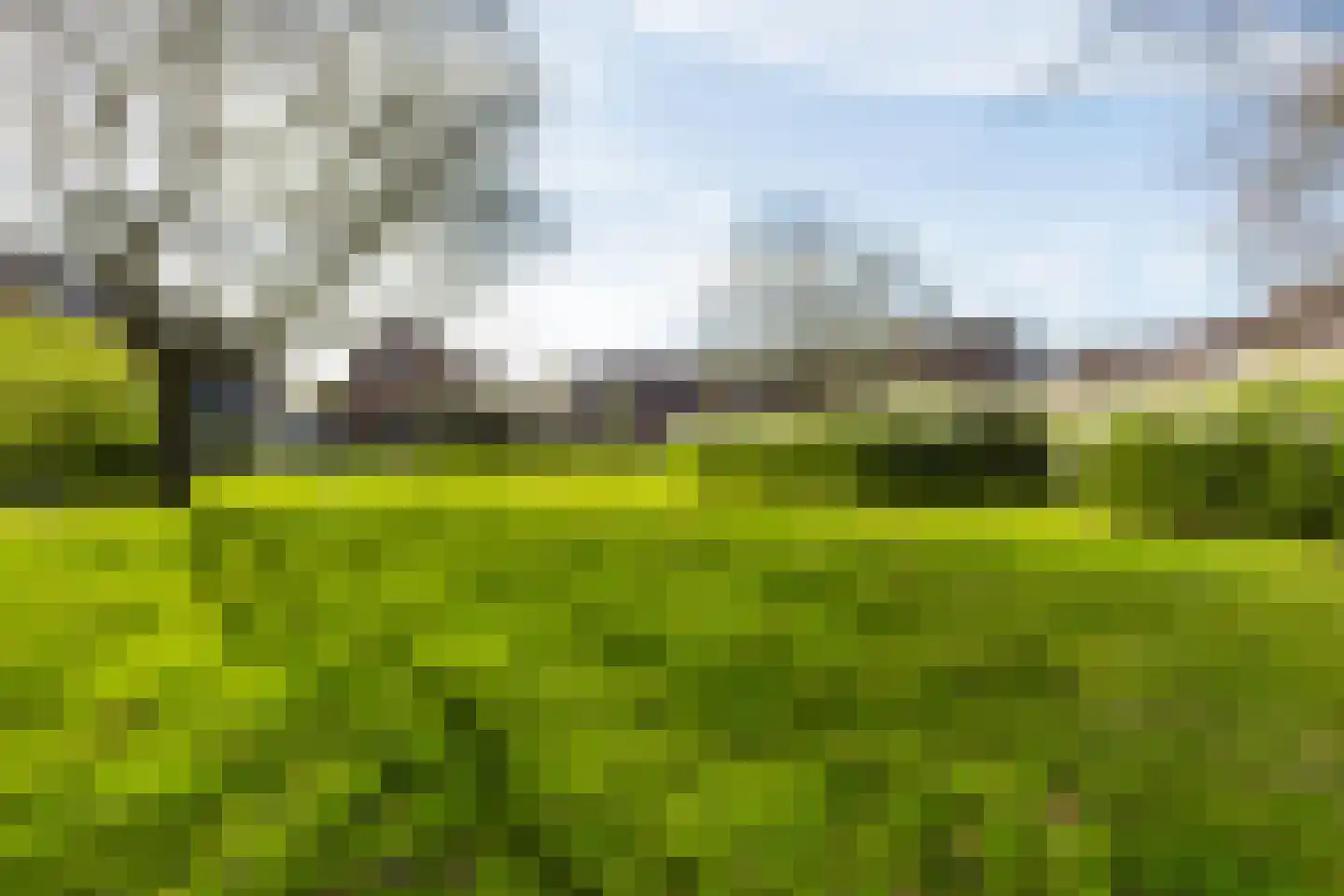 Mouterij 71 Gorredijk thumbnail 19