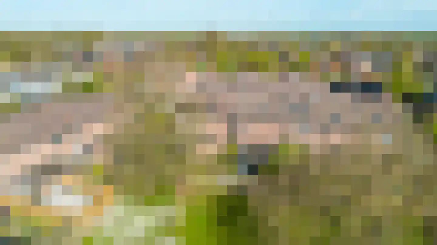 Mouterij 71 Gorredijk thumbnail 23