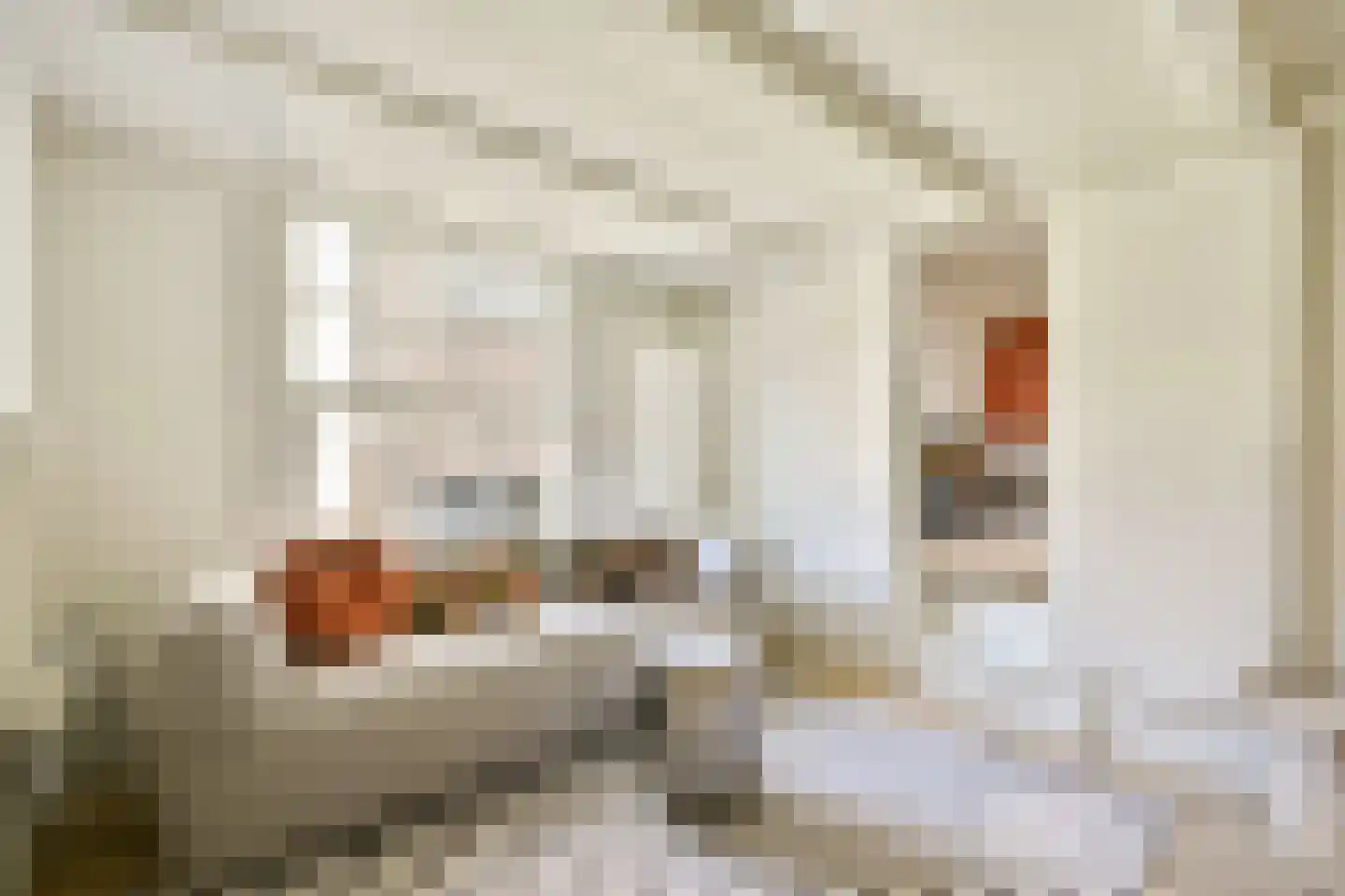 Mouthaansteeg 1 Amsterdam thumbnail 12