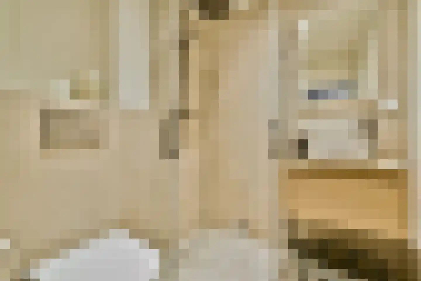 Mouthaansteeg 1 Amsterdam thumbnail 18