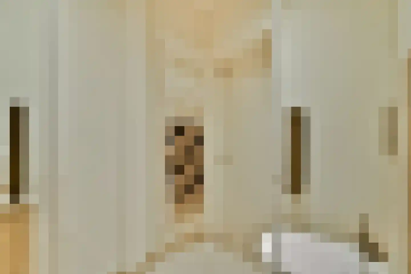 Mouthaansteeg 1 Amsterdam thumbnail 19
