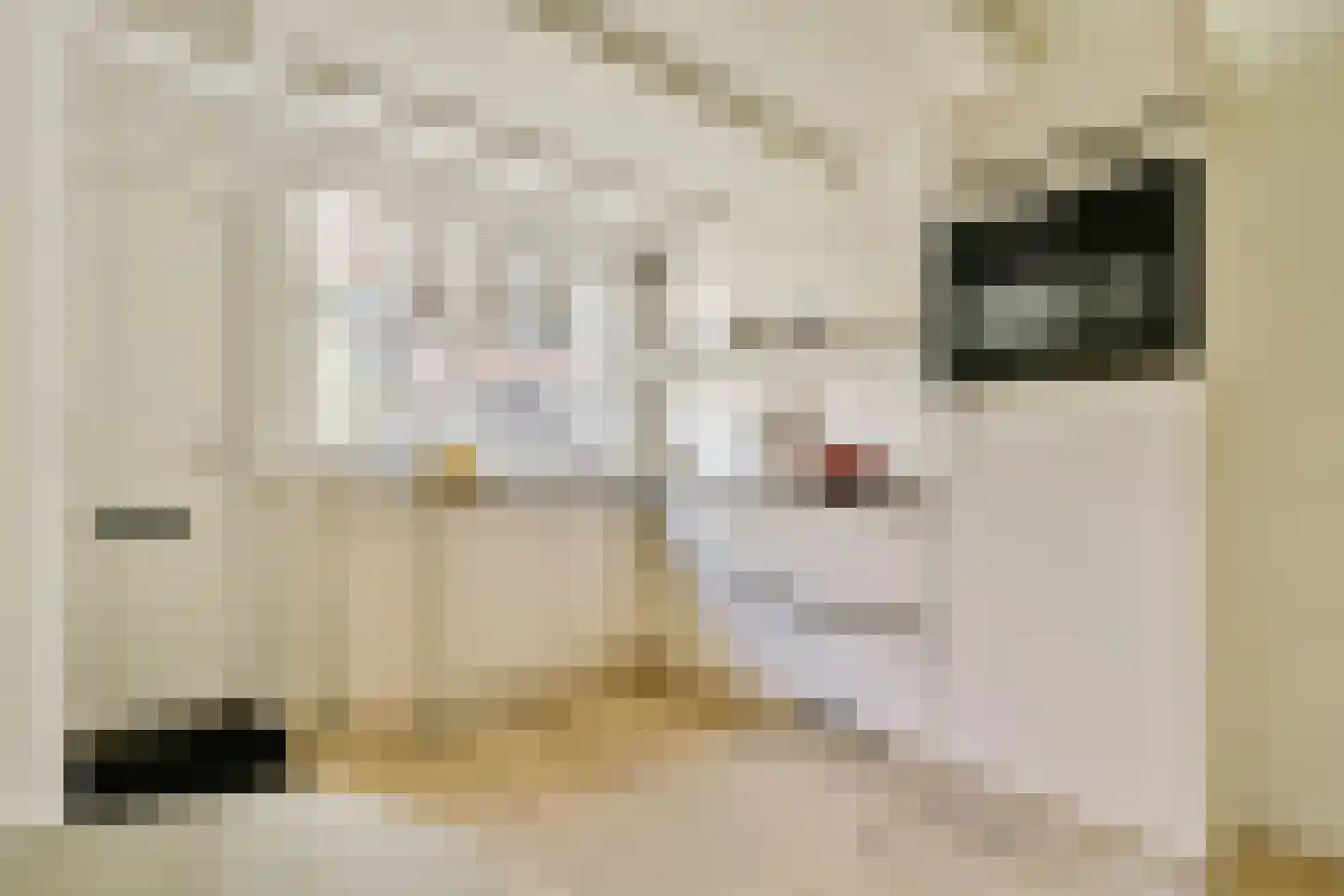 Mouthaansteeg 1 Amsterdam thumbnail 4