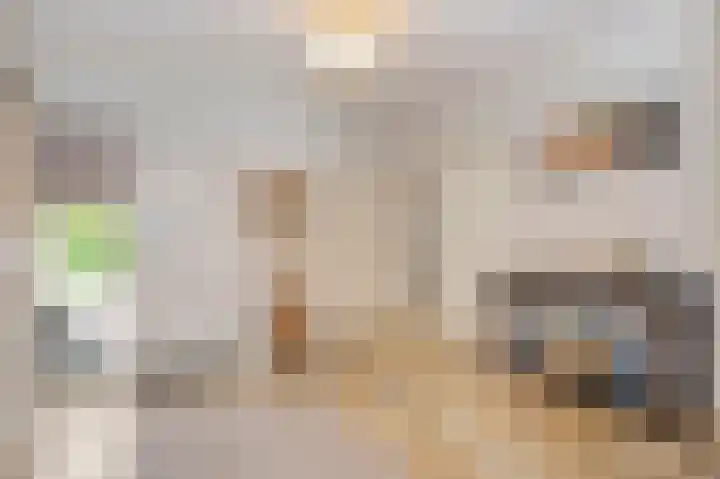 Moutheuvellaan 18 Schinnen thumbnail 13